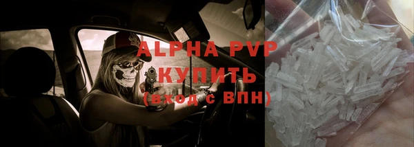 ГАЛЛЮЦИНОГЕННЫЕ ГРИБЫ Белокуриха