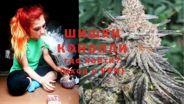 ГАЛЛЮЦИНОГЕННЫЕ ГРИБЫ Белокуриха
