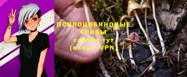 гашишное масло Беломорск