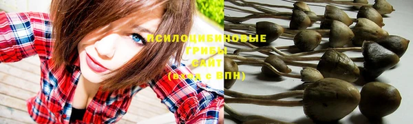 ГАЛЛЮЦИНОГЕННЫЕ ГРИБЫ Белокуриха