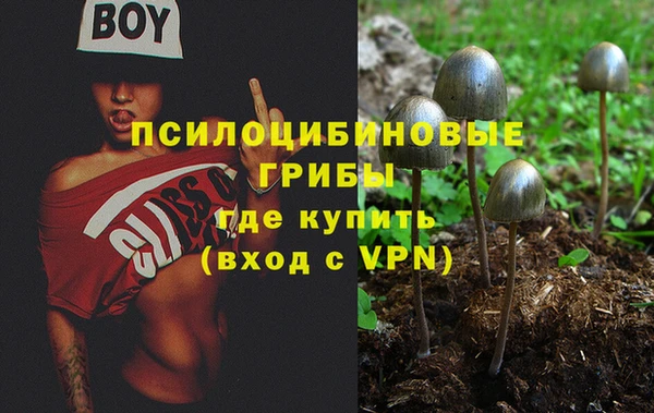 ГАЛЛЮЦИНОГЕННЫЕ ГРИБЫ Белокуриха